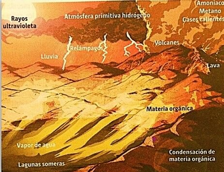 TEORIA DE LA SINTESI ABIOTICA