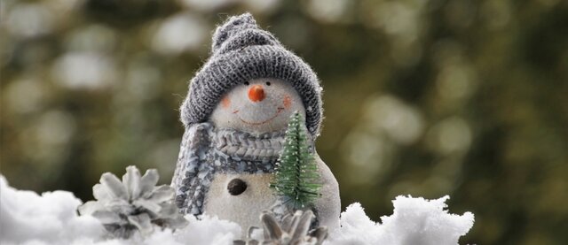 El meu primer hibern