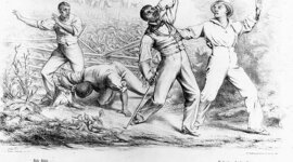 Timeline: Black History Throughout the Years