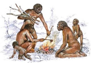HOMO ERECTUS