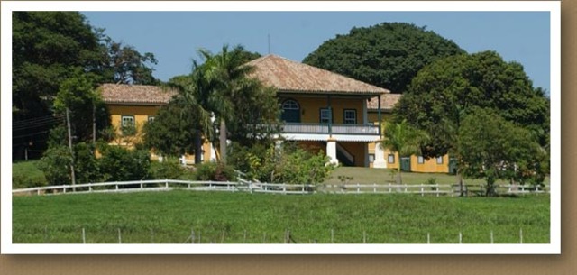 aniversário da minha prima - Thais