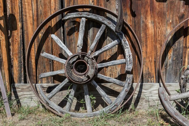 Aparición de la rueda