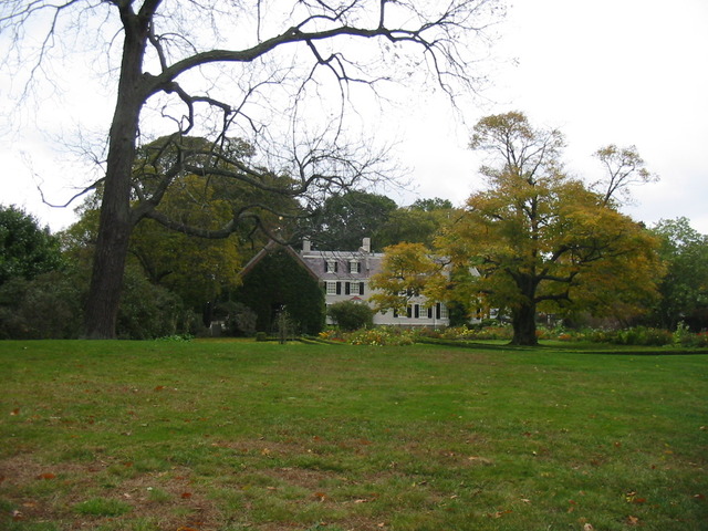 John Adams early political years