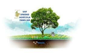 Creación de la UAF (Unidad Agrícola Familiar)