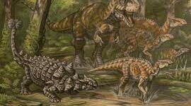 Timeline: Linea del tiempo biologia