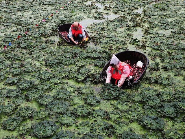 Superación de la población urbana a la rural