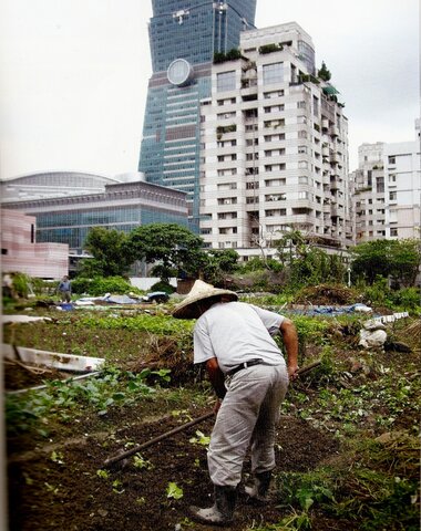 Inicio de las reformas