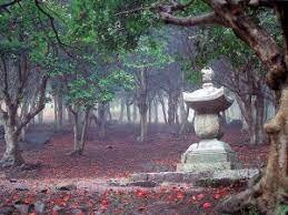 Región natural-Bosques