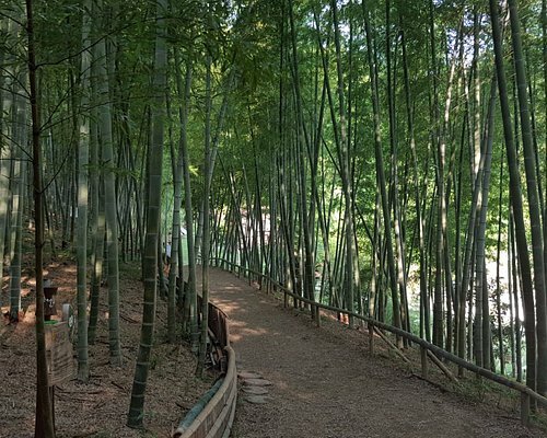 Región natural-Bosques