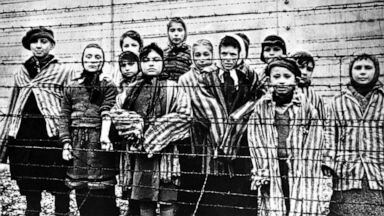 Auschwitz Liberated