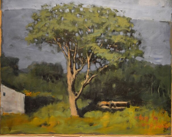 Paisaje de Morales Sequeira