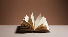 Timeline: 9B Independent Reading Timeline 28