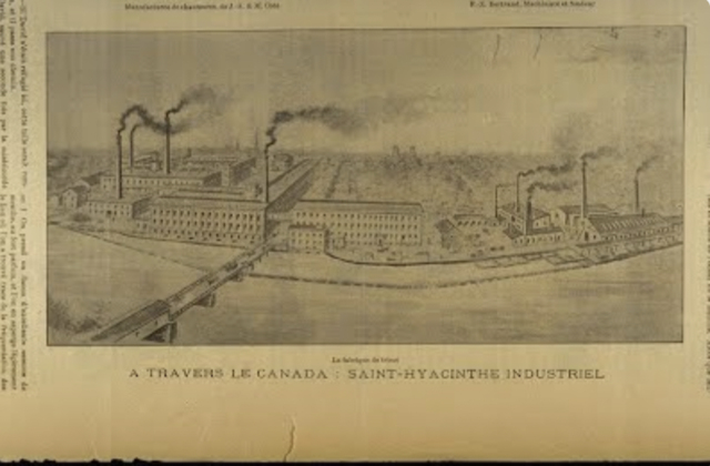 Vague migratoire industrialisée