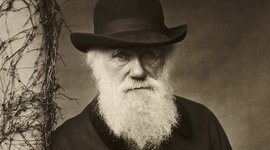 Timeline: Charles Darwin (Feb 12, 1809 - Apr 19, 1882)