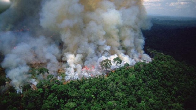 Incendi Amazones