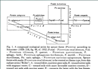 Esquema de asociacón de plantas en relación a su ambiente