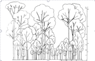 Diagramas de perfil por DAVIS Y RICHARDS