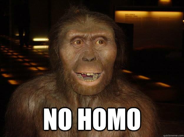 Homo sapiens