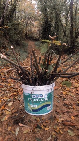 RECUPERATION DE BOIS