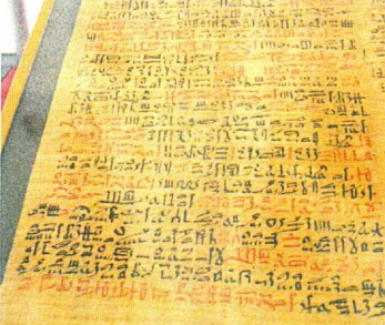 Historia de la Patología