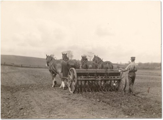 South Carolina colony