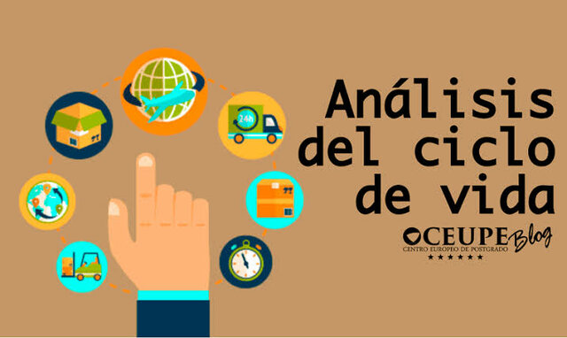 La cadena y el ciclo de vida