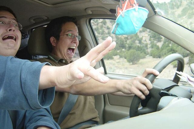 learn to drive