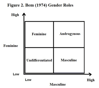 Bem Sex Role Inventory-BSRI