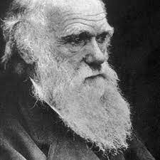 La teoría de Darwin