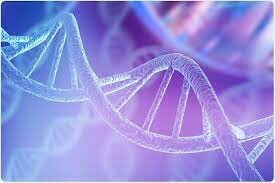 Confirmación de la genetica