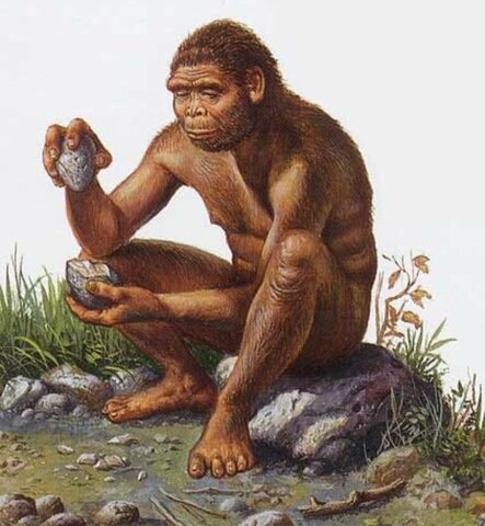 HOMO ERECTUS