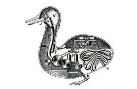 PATO CON APARATO DIGESTIVO