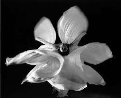 Loïe Fuller