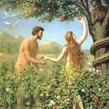 nacimiento de adam harrishon