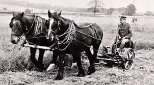 McCormick invents the Mechanical Reaper (1831)(2)