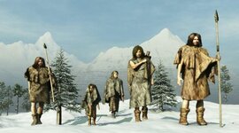 Timeline: PREHISTÒRIA