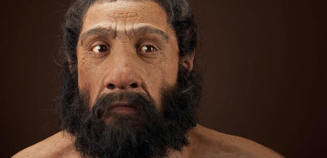 homo sapiens