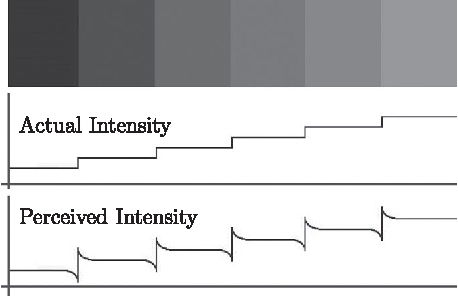 "Mach Bands", Doppler Effect