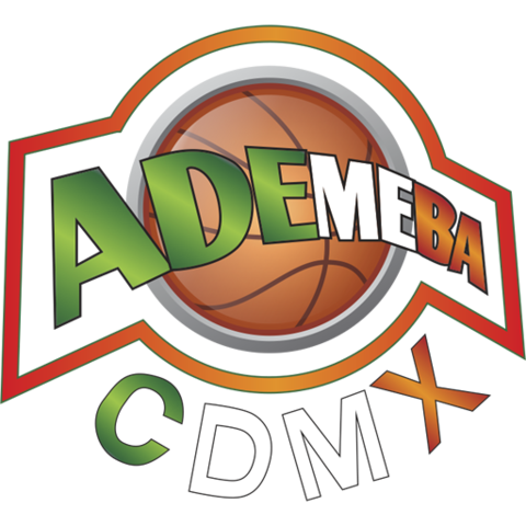 2003 la comisión de la Federación mexicana