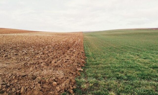 Pérdida de los suelos