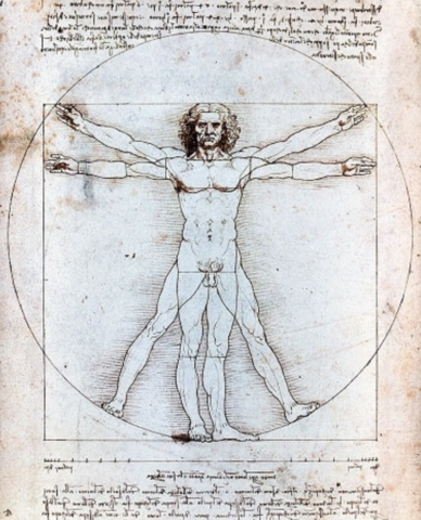 Humanismo Renacentista