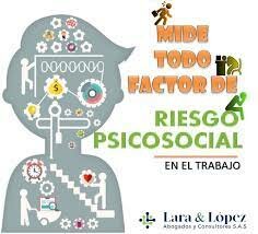 RESOLUCIÓN 0312 de 2019