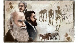 Timeline: Posturas de la Evolución
