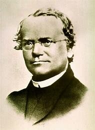 Aportaciones de Mendel.