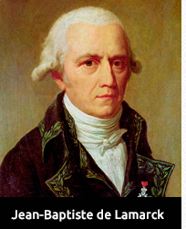 Modelo. Lamarck