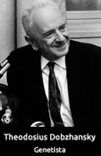 Modelo: Dobzhansky
