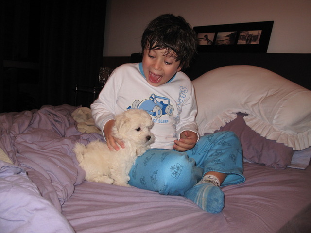 Camila ganhou uma cachorrinha!