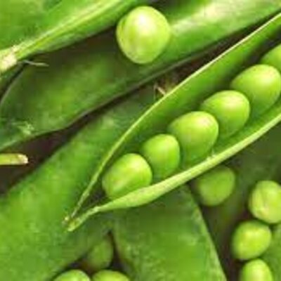 Timeline: Herencia mendeliana