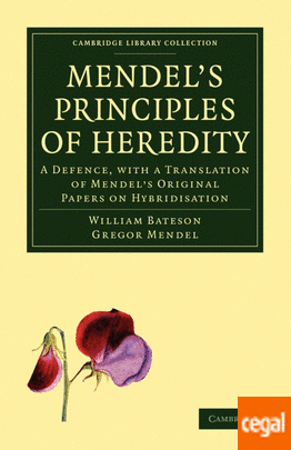 Redescubren y confirman las leyes de Mendel