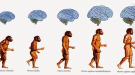 Timeline: LA PREHISTORIA